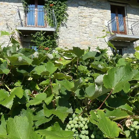 Dom wakacyjny Buchere